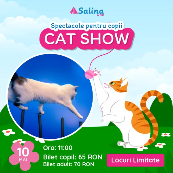 Cat Show - 10 Mai
