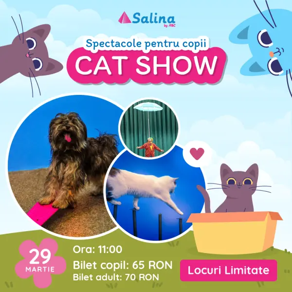 Cat Show - 29 Martie